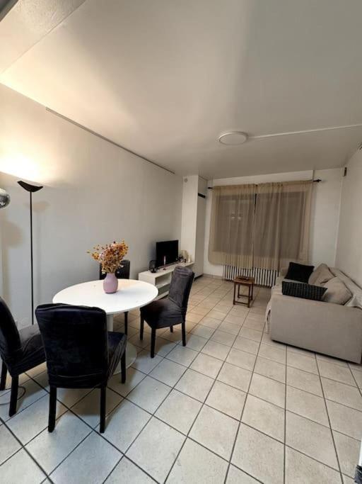 Appartement In Herenhuis Antwerpen-zuid