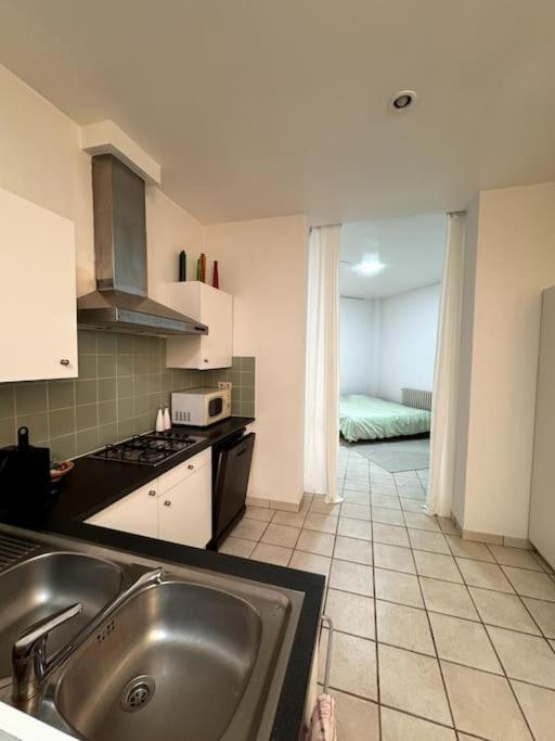In Herenhuis Antwerpen-zuid Appartement