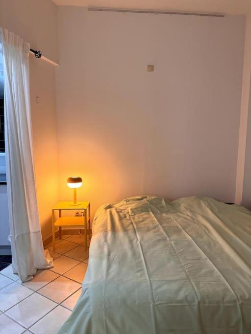 Appartement In Herenhuis Antwerpen-zuid Antwerpen