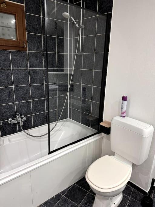 Appartement In Herenhuis Antwerpen-zuid *